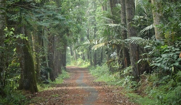 ruang terbuka hijau (rth)