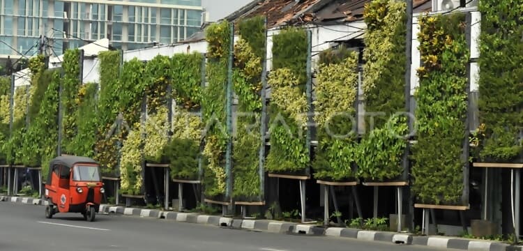 ruang terbuka hijau (rth)